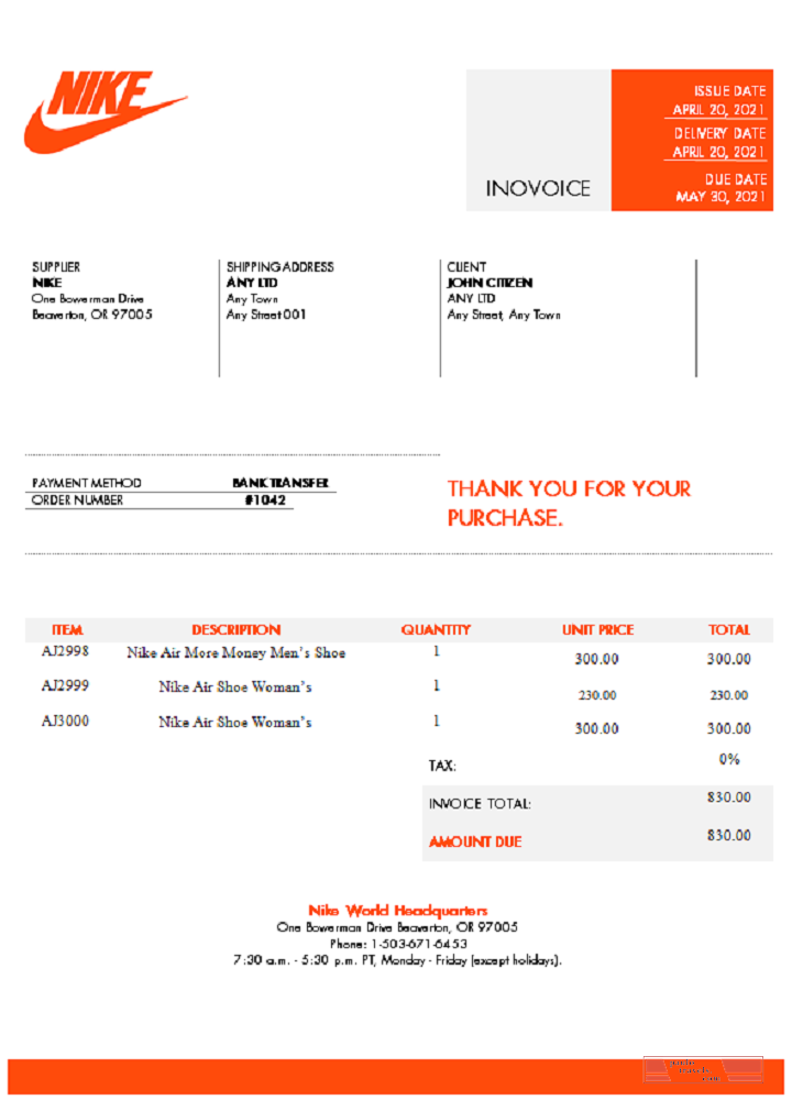 USA Nike invoice PSD template